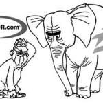 Five Things Realtor.com Could Learn From Zillow (800 Lb Gorilla vs Elephant in the Room)