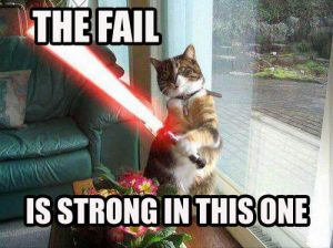 fail-strong-cat